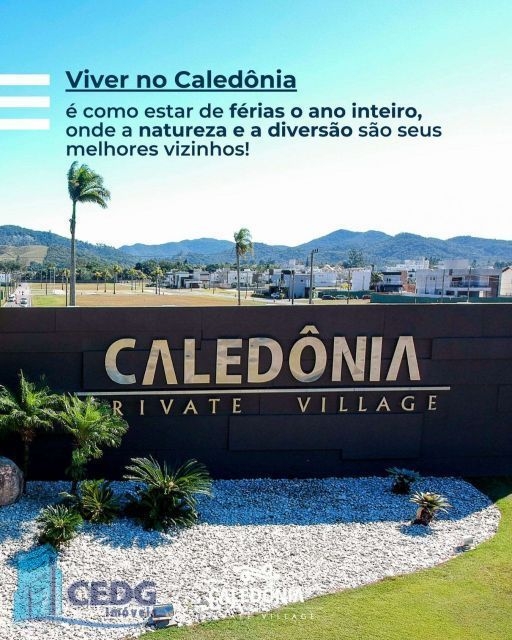 Caledônia Camboriú
