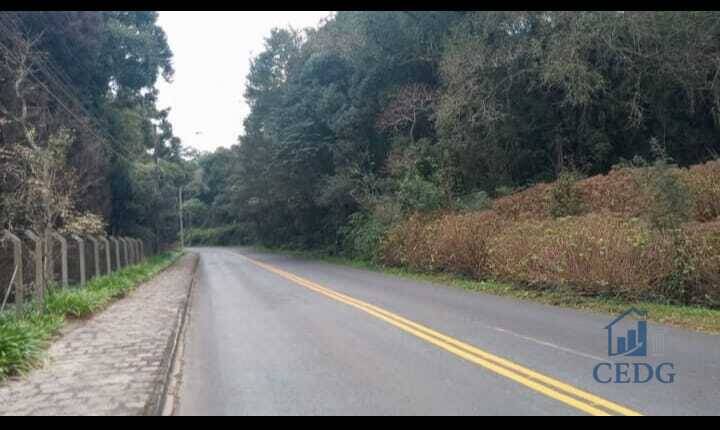 Terrenos Urbanos Campo Largo – ideal para condomínio ou investimento!