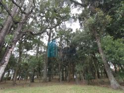 Apartamento para Venda em Curitiba - 3