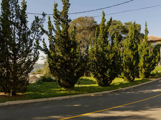 #TE332 - Área para Venda em Curitiba - PR - 3