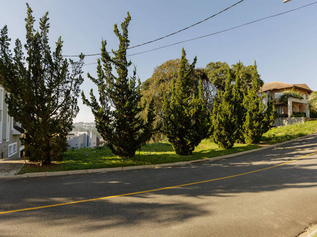 Área para Venda em Curitiba - 4