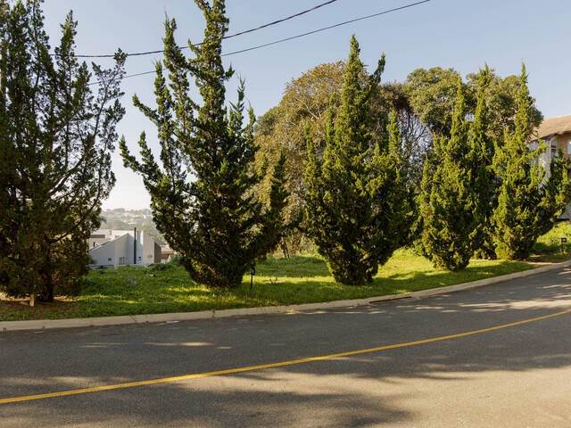 Área para Venda em Curitiba - 5