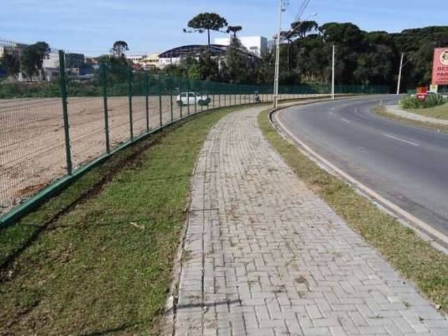 Área para Venda em São José dos Pinhais - 4