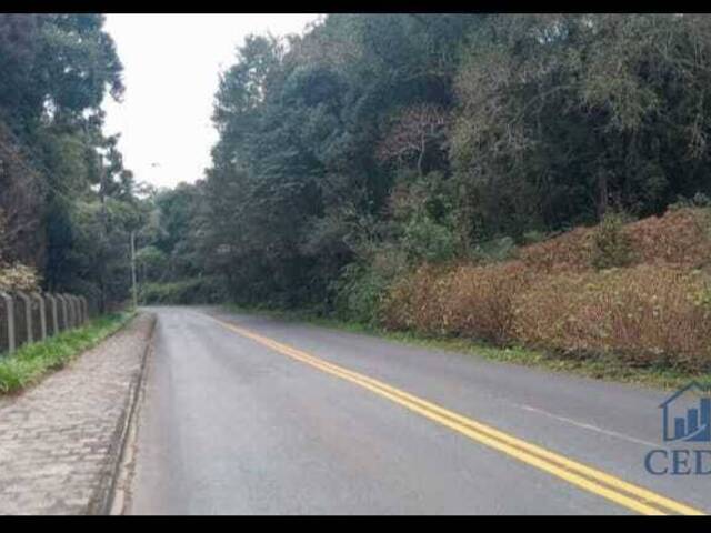 #TE513 - Área para Venda em Campo Largo - PR - 1