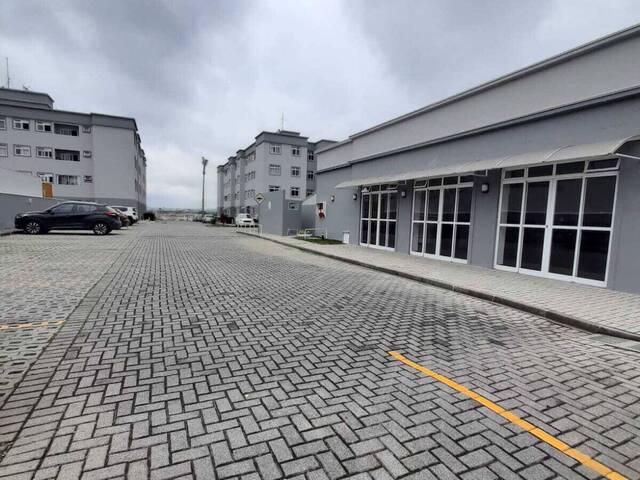 Apartamento para Venda em São José dos Pinhais - 5