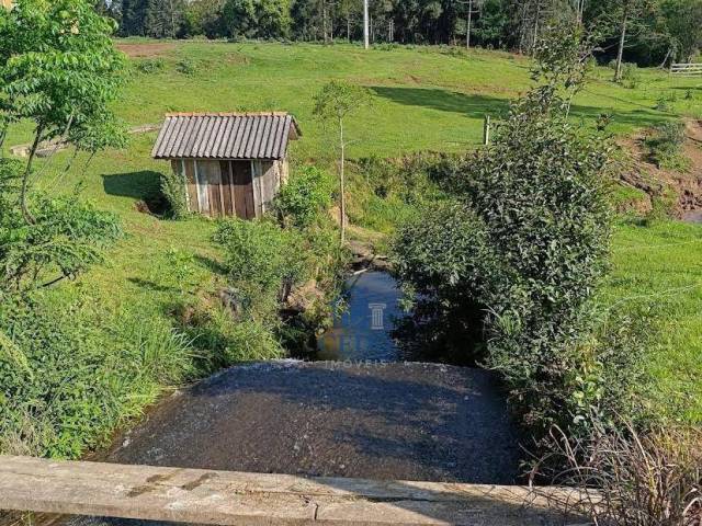 #TR578 - Fazenda para Venda em Prudentópolis - PR - 2