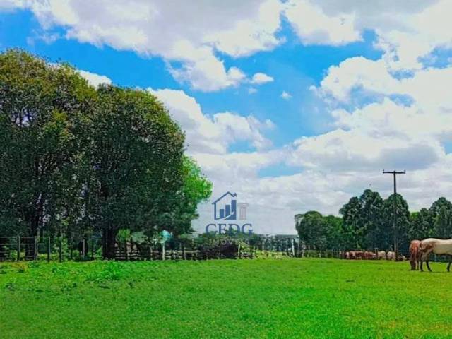 Fazenda para Venda em Prudentópolis - 4
