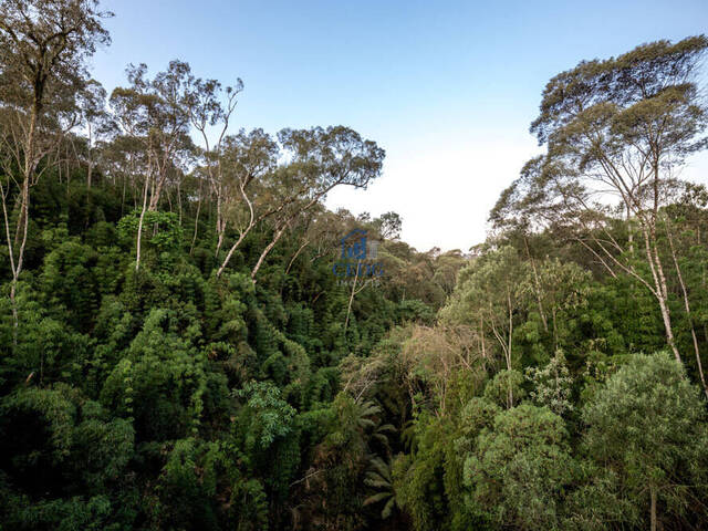 Terreno em condomínio para Venda em Campo Magro - 4
